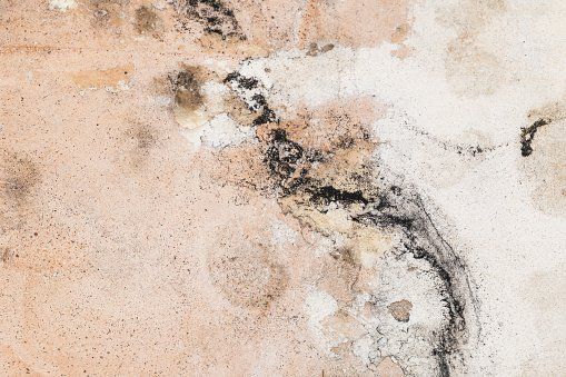 Black mold growth on a wall surface, indicating potential water damage and health hazard.