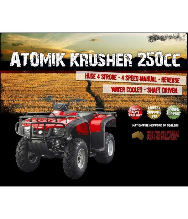atomik 250cc quad