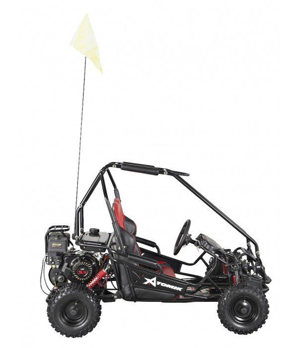 atomik quad bike 250cc
