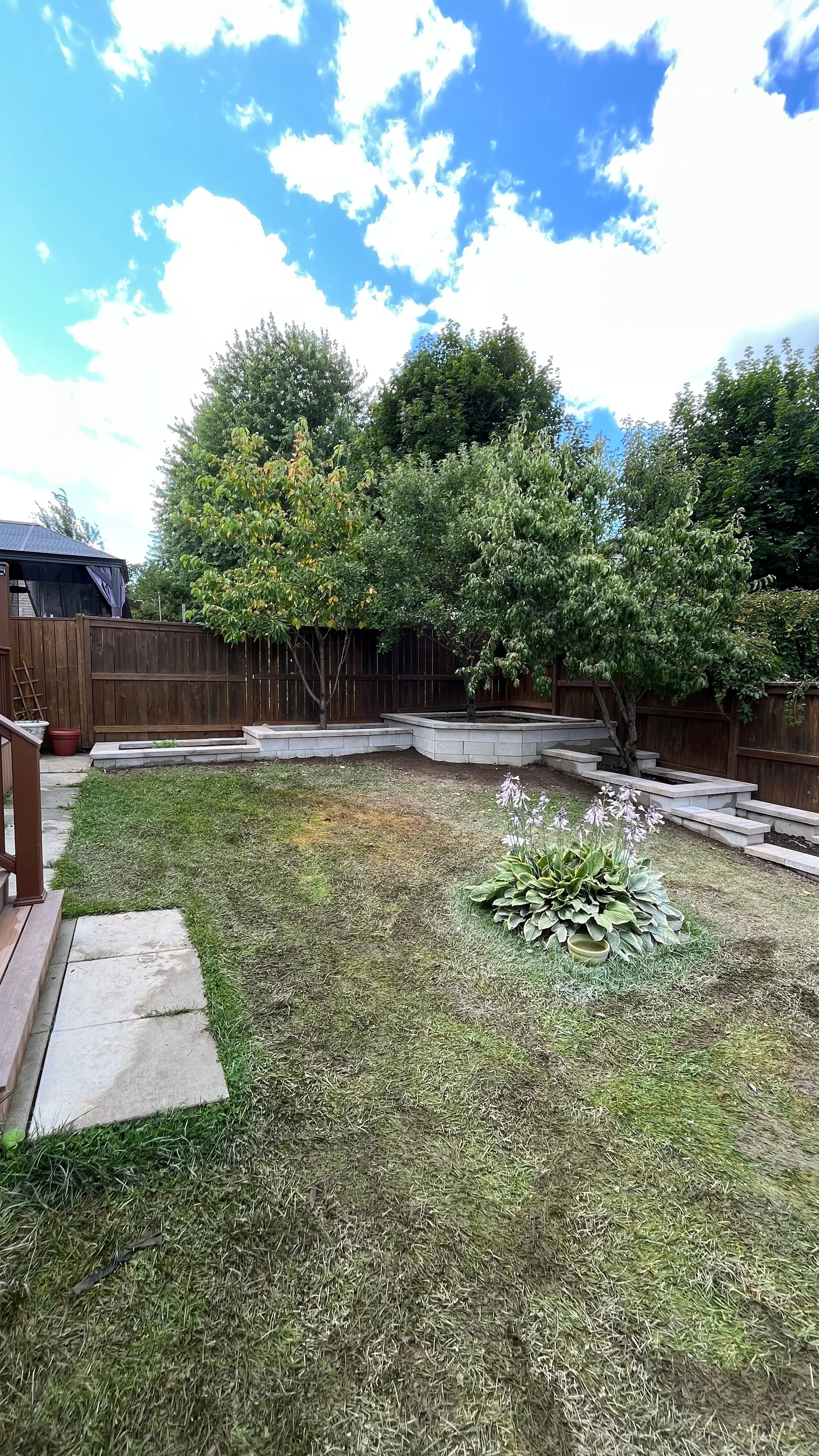 a backyard with a wooden fence and a lot of grass .