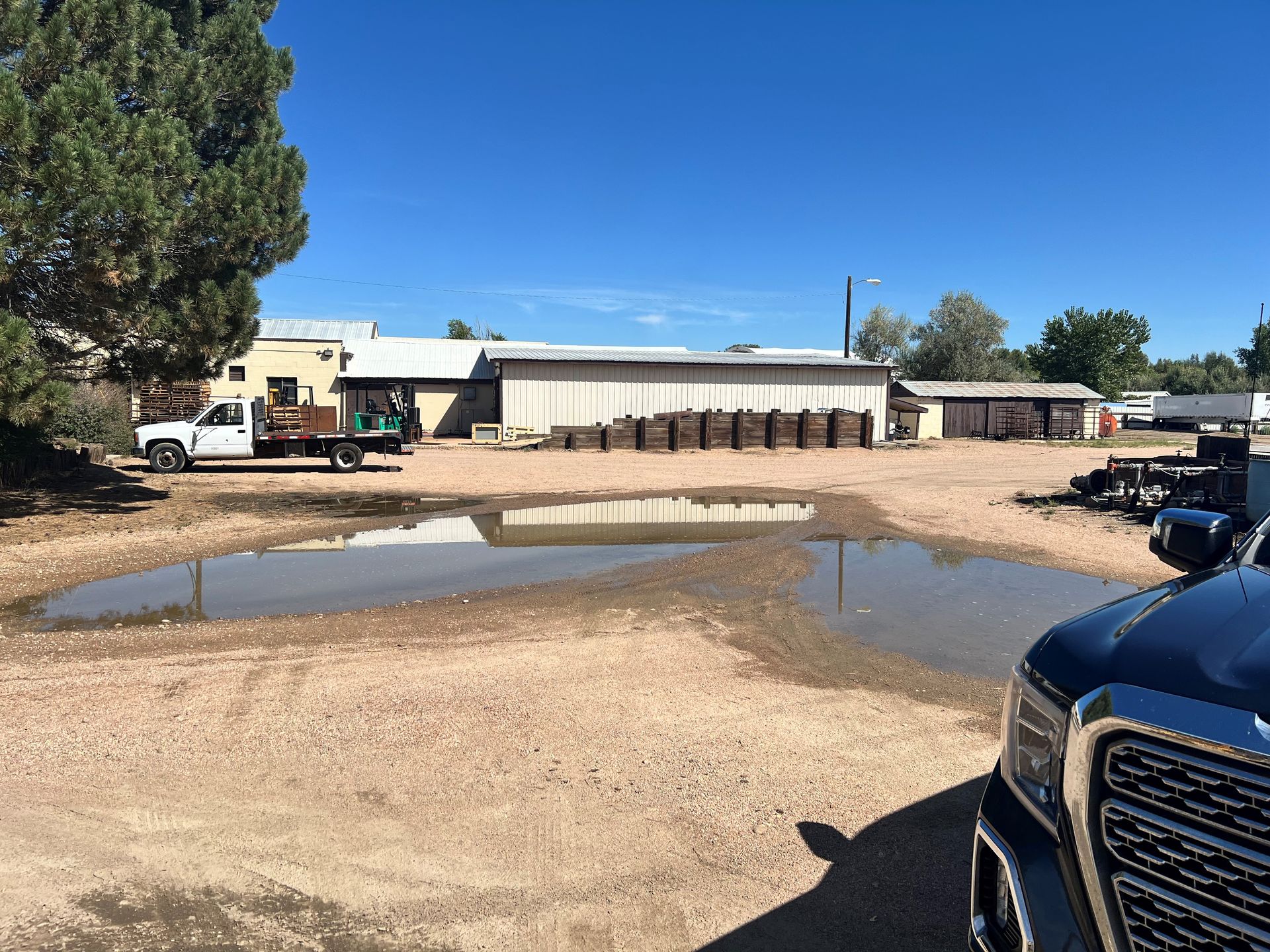 Pigs Lying in A Pen with Hay — Greeley, CO — Weld County Biproducts Inc