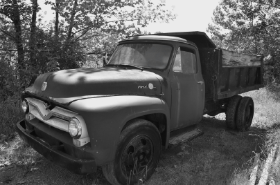 Sheep Drinking from A Trough in A Field — Greeley, CO — Weld County Biproducts Inc