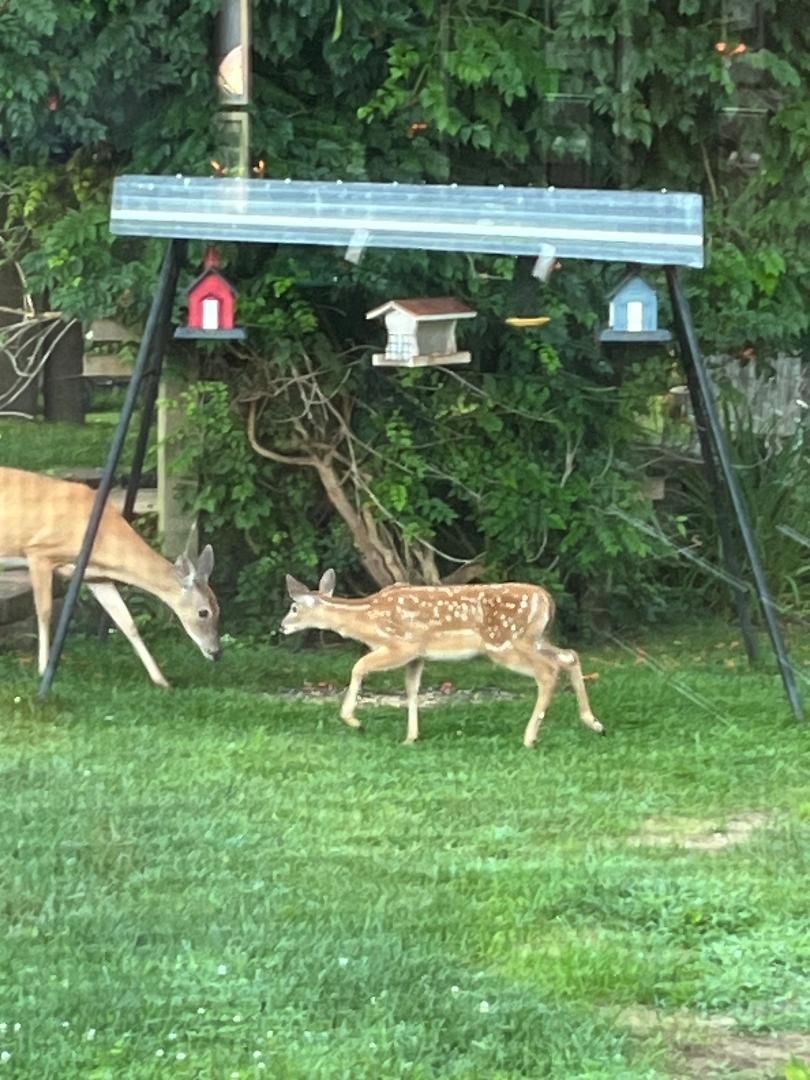 small town michigan