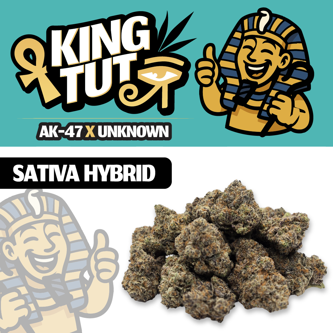 King Tut