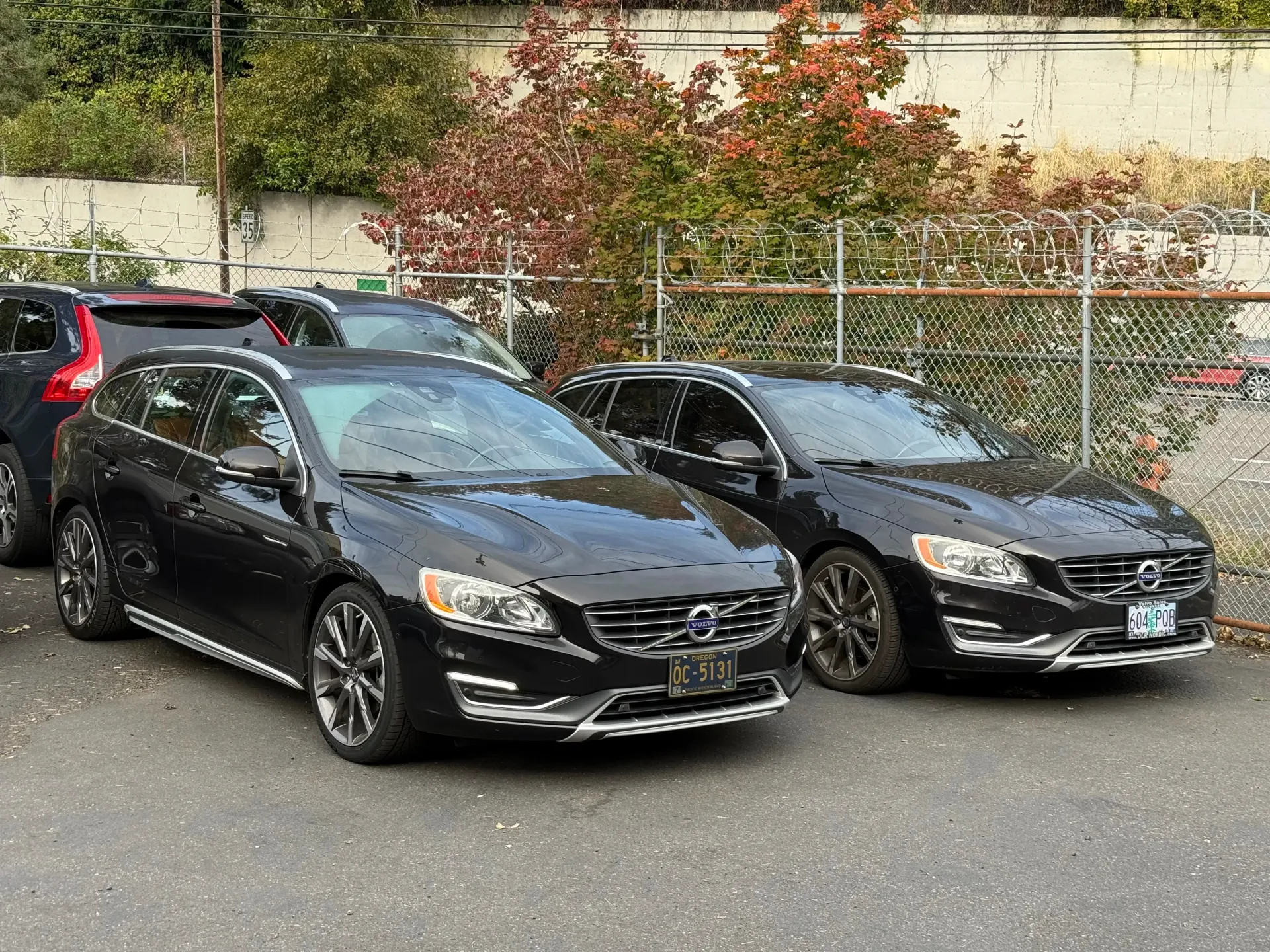 Black Volvo Station Wagons Parked Outdoors | The V Shop