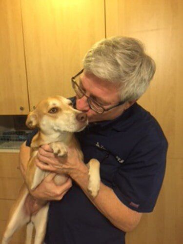 Veterinarian kissing dog - Animal Health Care Clinic in Omaha, NE 