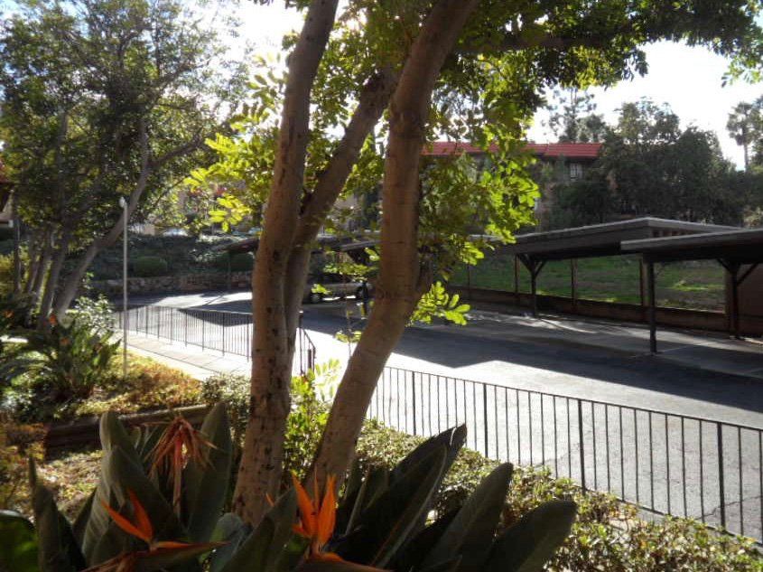 Exterior | Beatrice Snodgrass Terrace