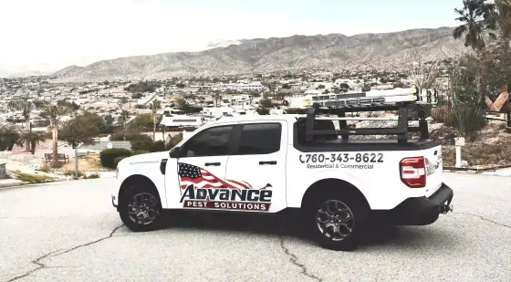 Company vehicle positioned against a mountainous backdrop. Company vehicle positioned against a mountainous backdrop.