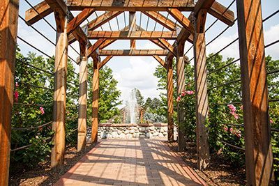 boerne arbor trellis builder