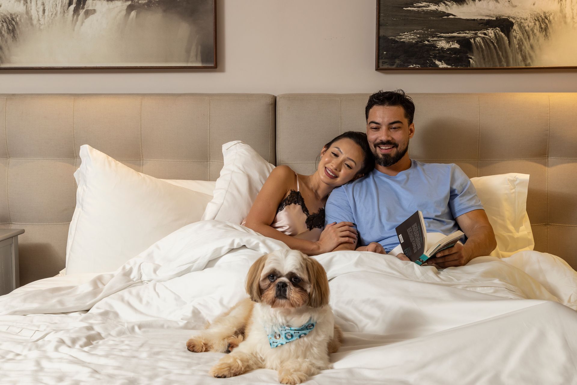 Somos Dog Friendly