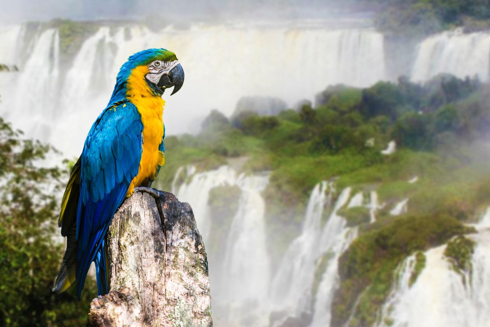 Parque Nacional do Iguaçu