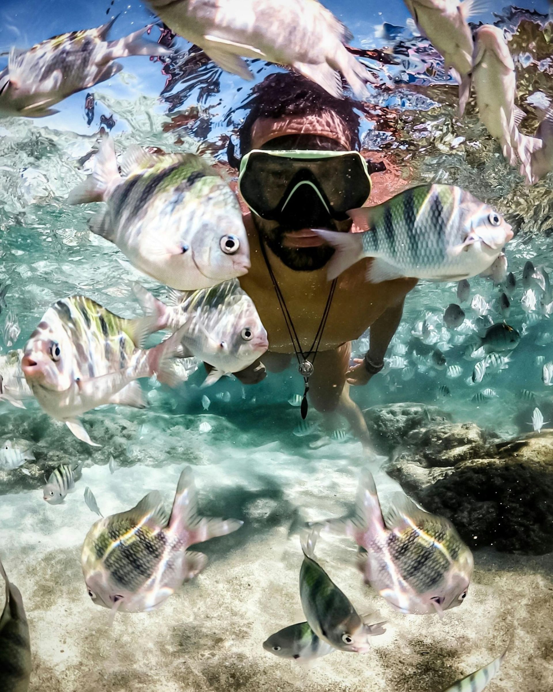 Man snorkeling, surrounded by striped fish, in clear turquoise water.