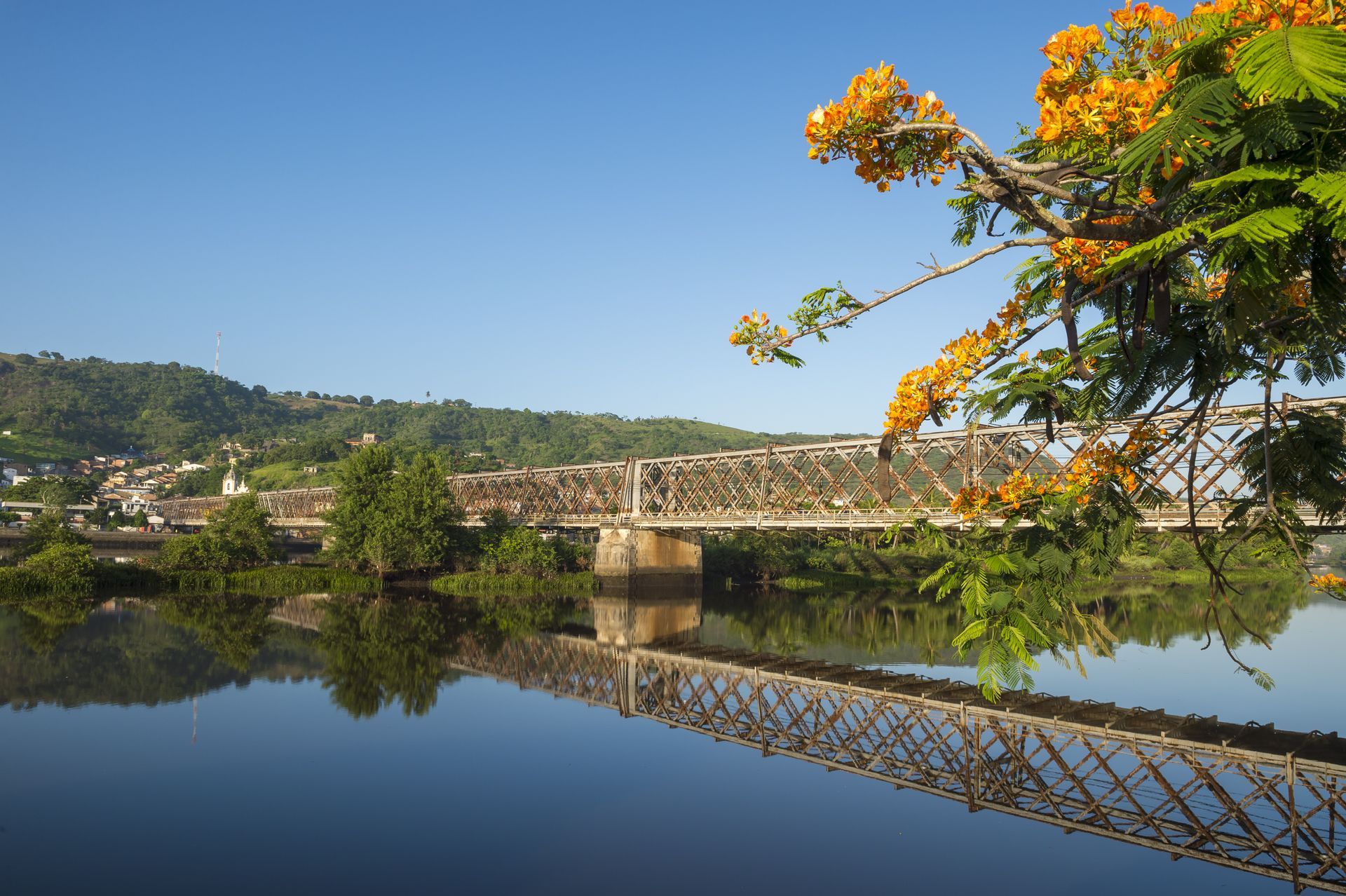 Uma ponte sobre um rio com uma árvore em primeiro plano