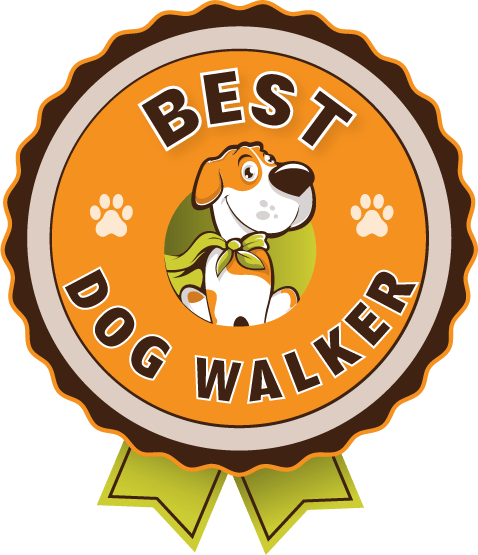 Best Dog Walker