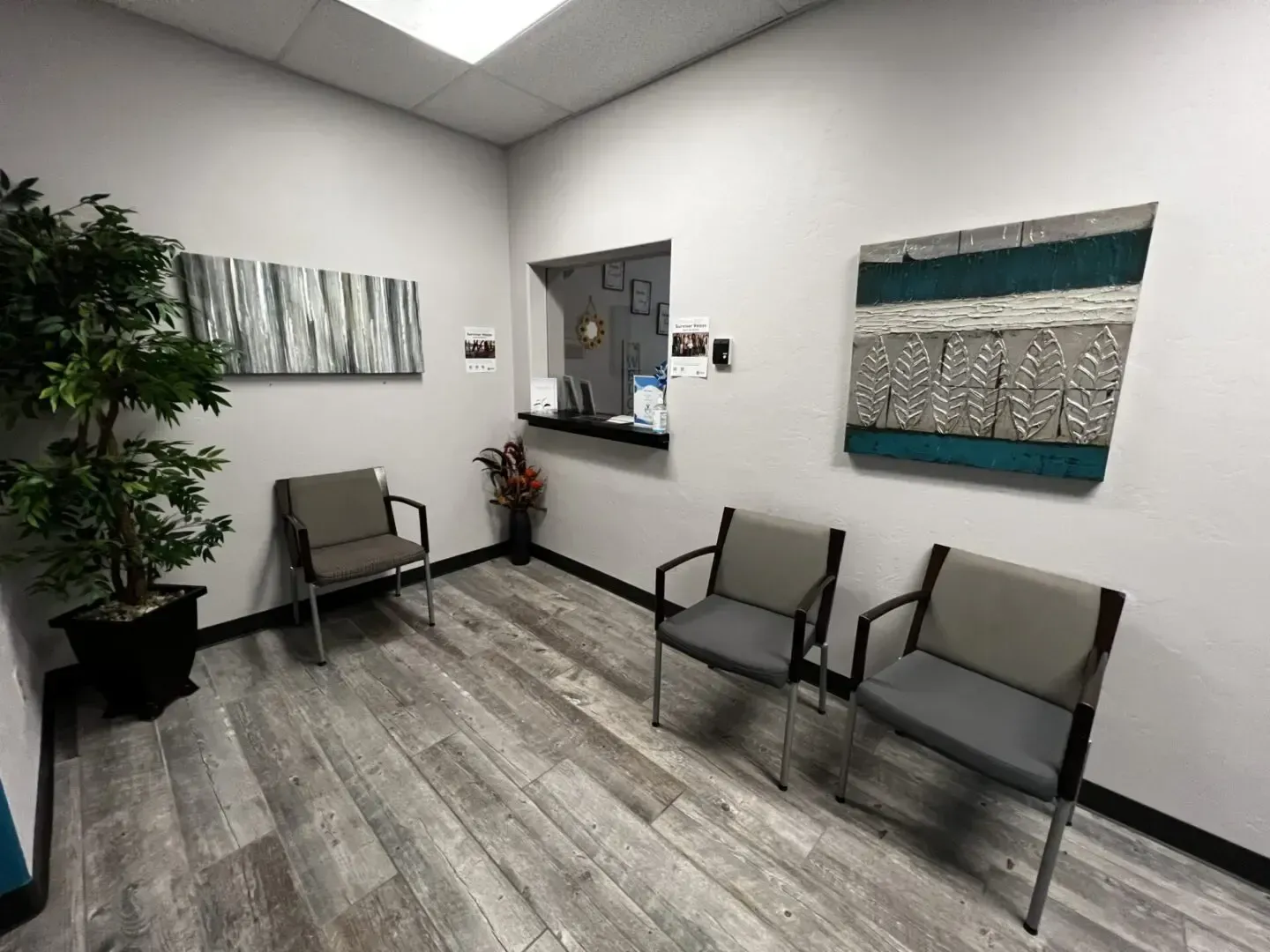 A waiting room with three chairs and a plant.