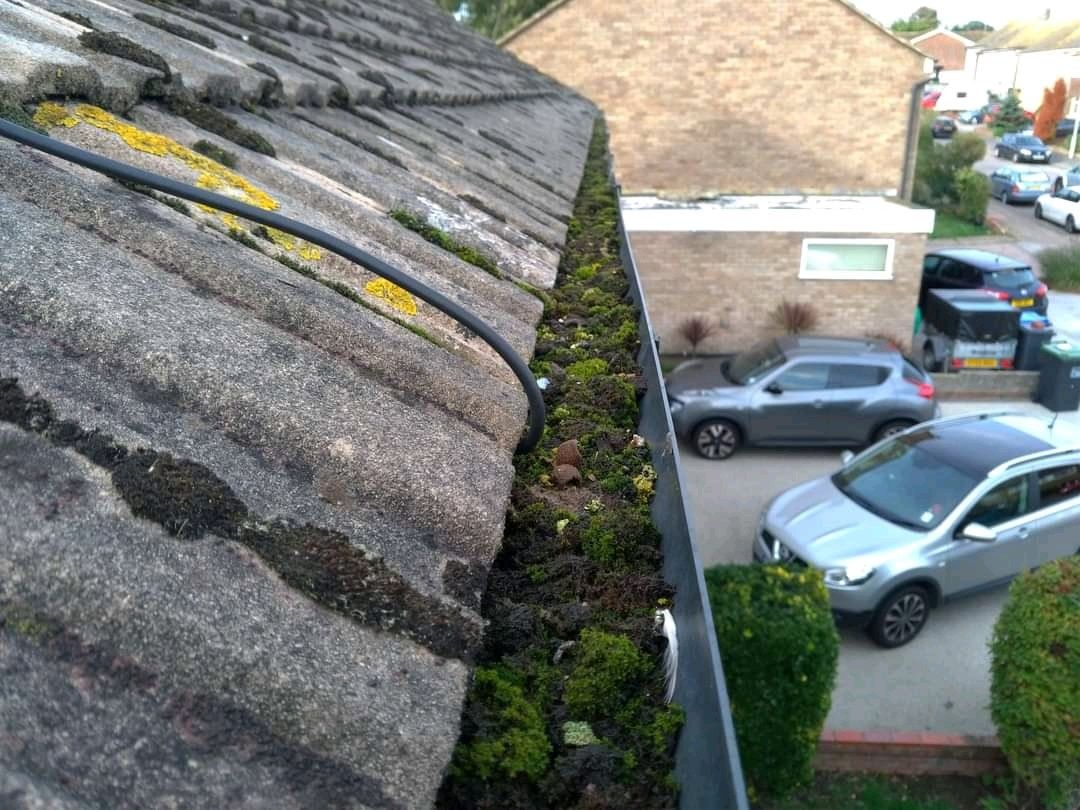 Gutter Cleaning Worthing Guttering Repairs Gutta Clean