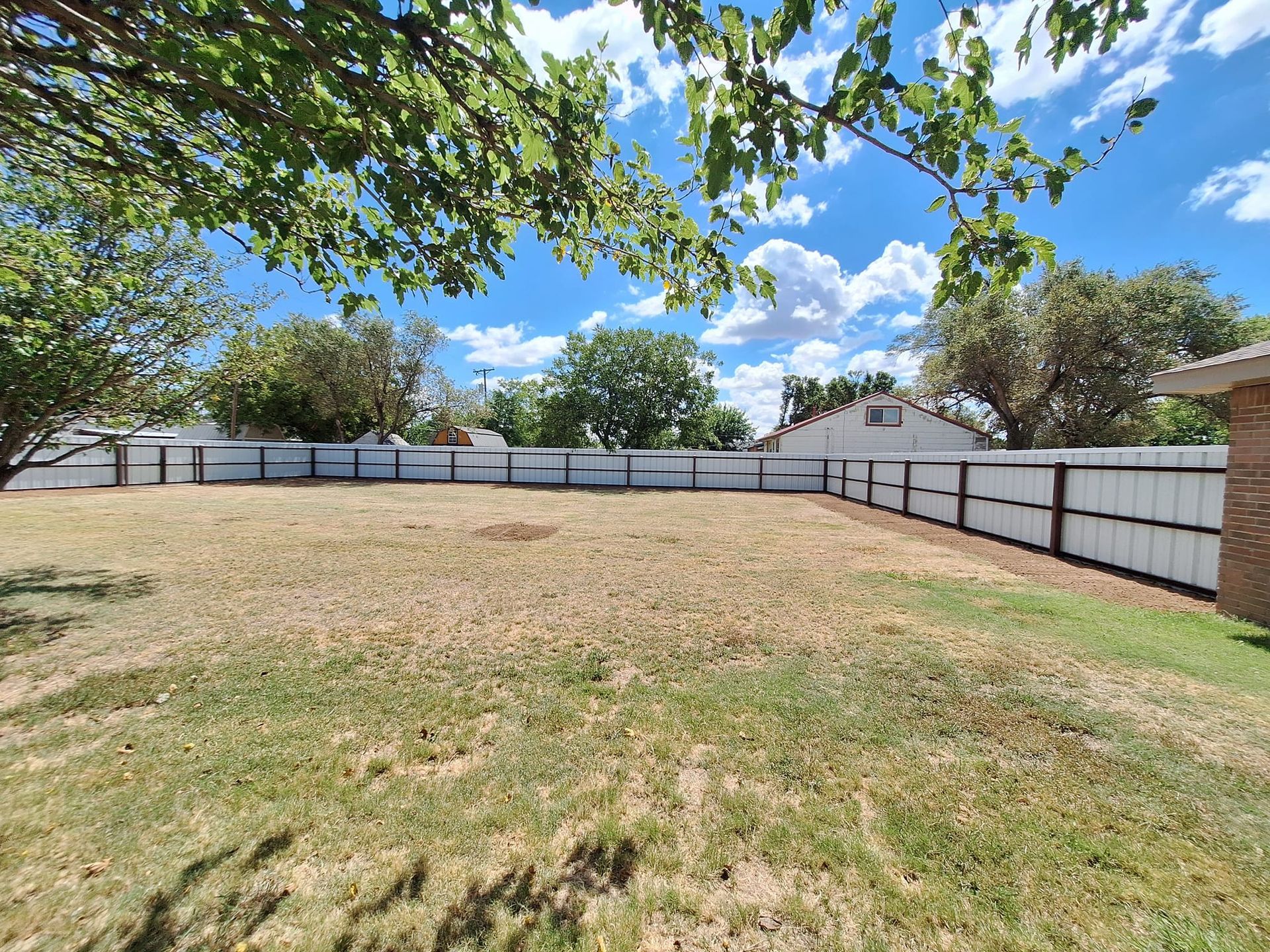 Empty, dry grassy yard enclosed by a white and brown fence under a sunny sky with some tree branches.