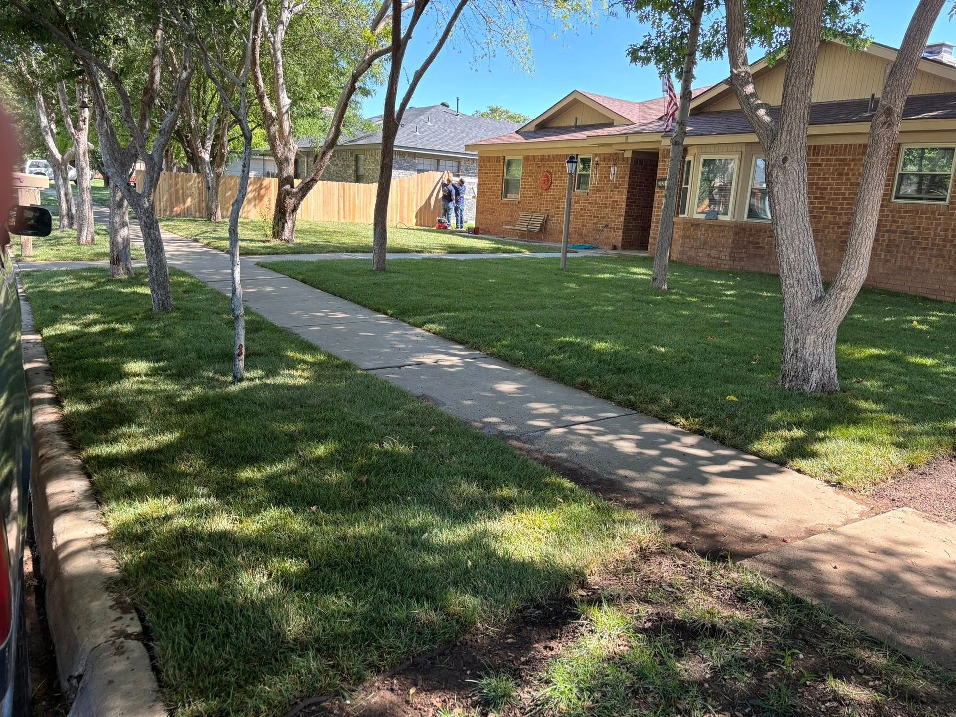 Sidewalk lined with grass and trees in front of a brick house. Sunny day.