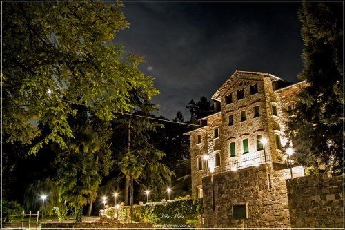 Visione notturna di struttura in pietra illuminata con alberi