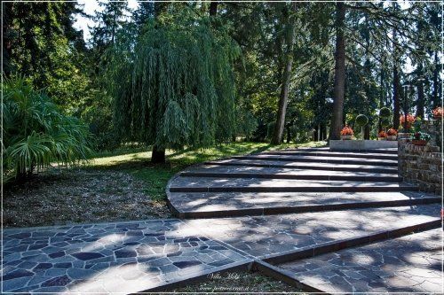 Scalinate basse in pietra circondate da vegetazione