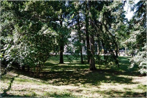 Parco con alberi e prato verde