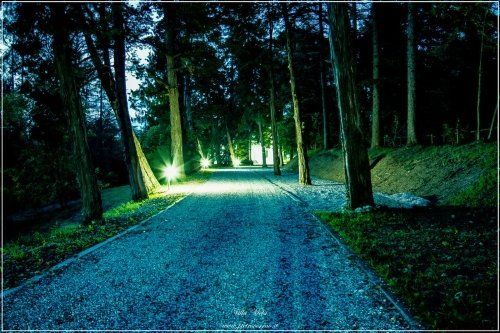 Vista notturna di sentiero in pietra con alberi