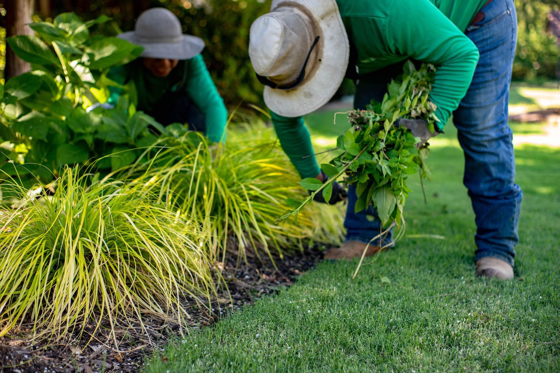 Landscape Maintenance