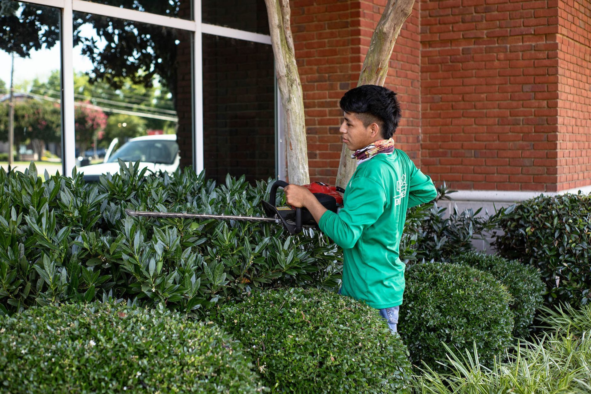 Commercial Landscape Maintenance