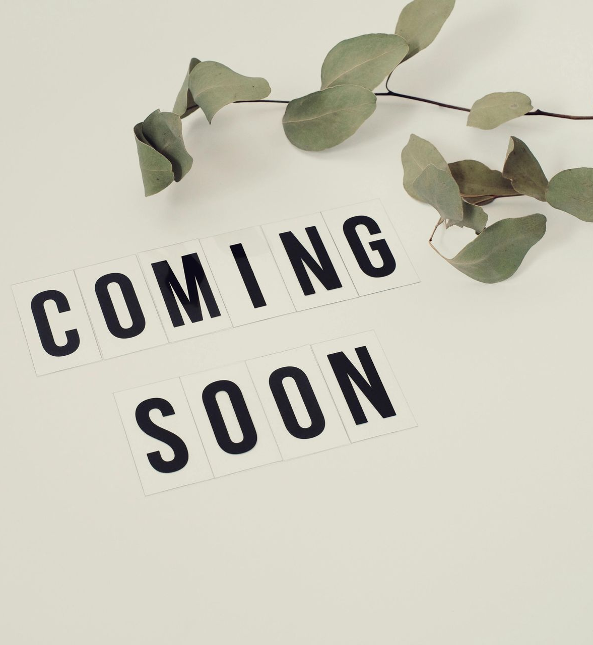 “COMING SOON” text on a light background with green leaves above