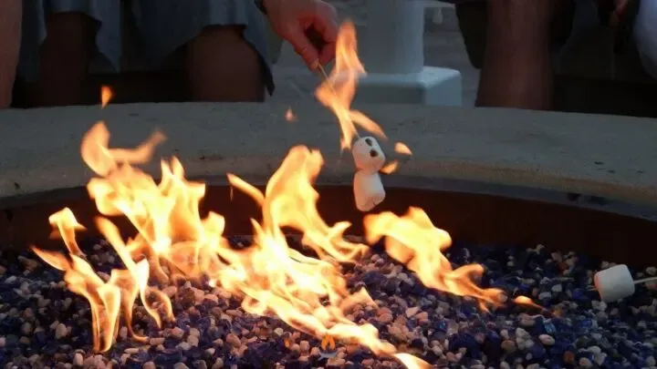 Person roasting a marshmallow over an outdoor fire pit, flames are yellow and orange, blue rocks.