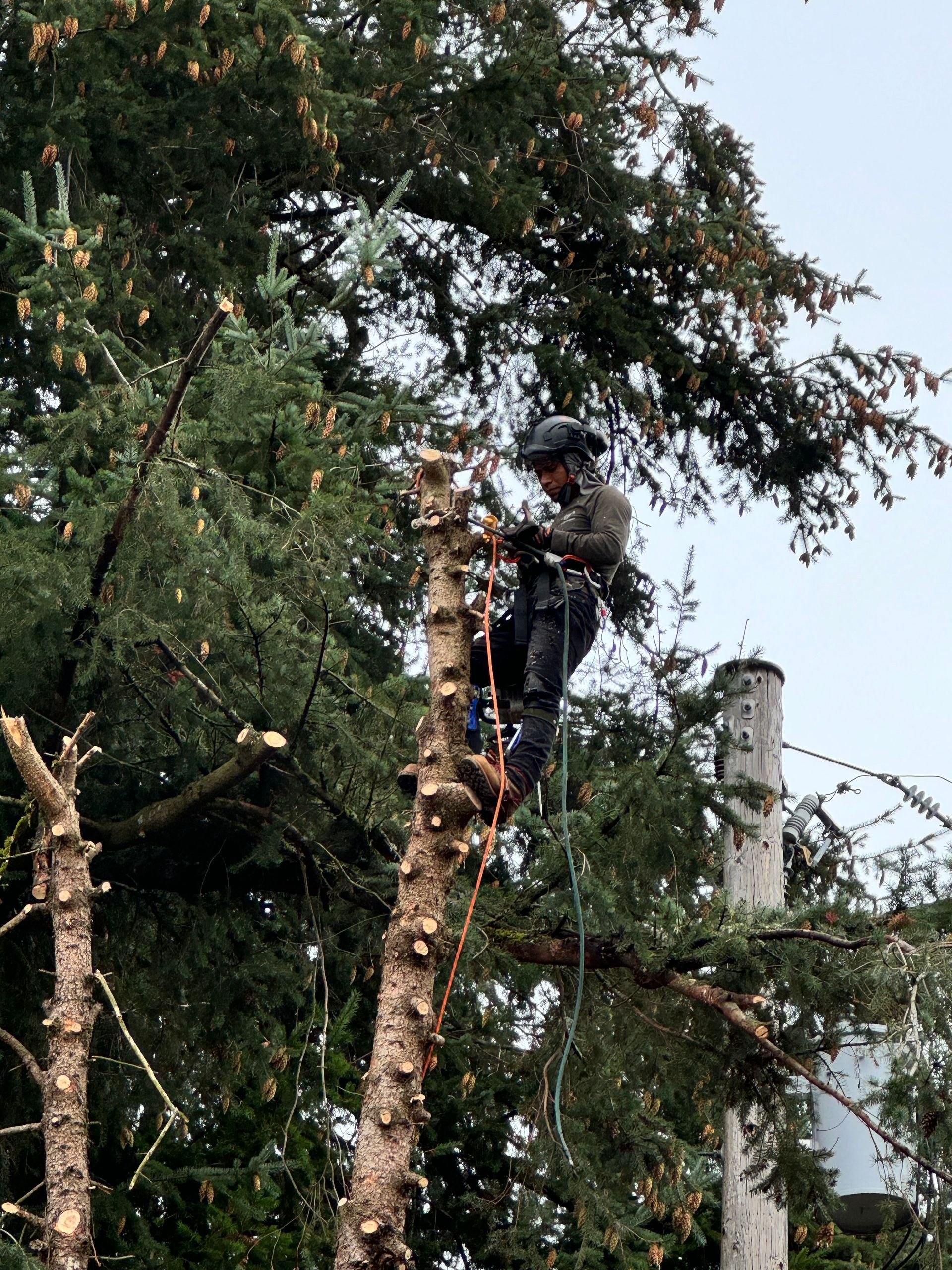 A smiling person with shoulder-length white hair wearing glasses and a sage green top, standing outdoors by trees.