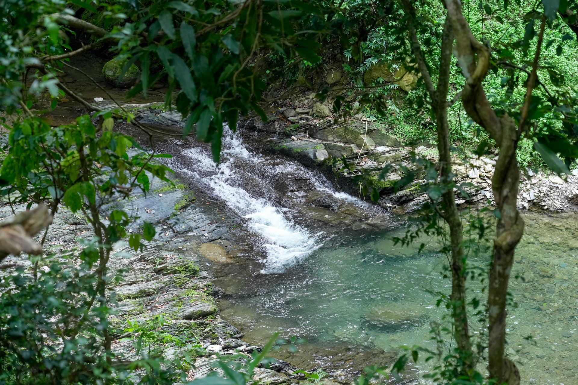 溪水從岩石上傾瀉而下,匯入清澈碧綠的水潭,周圍環繞著鬱鬱蔥蔥的綠色植物。