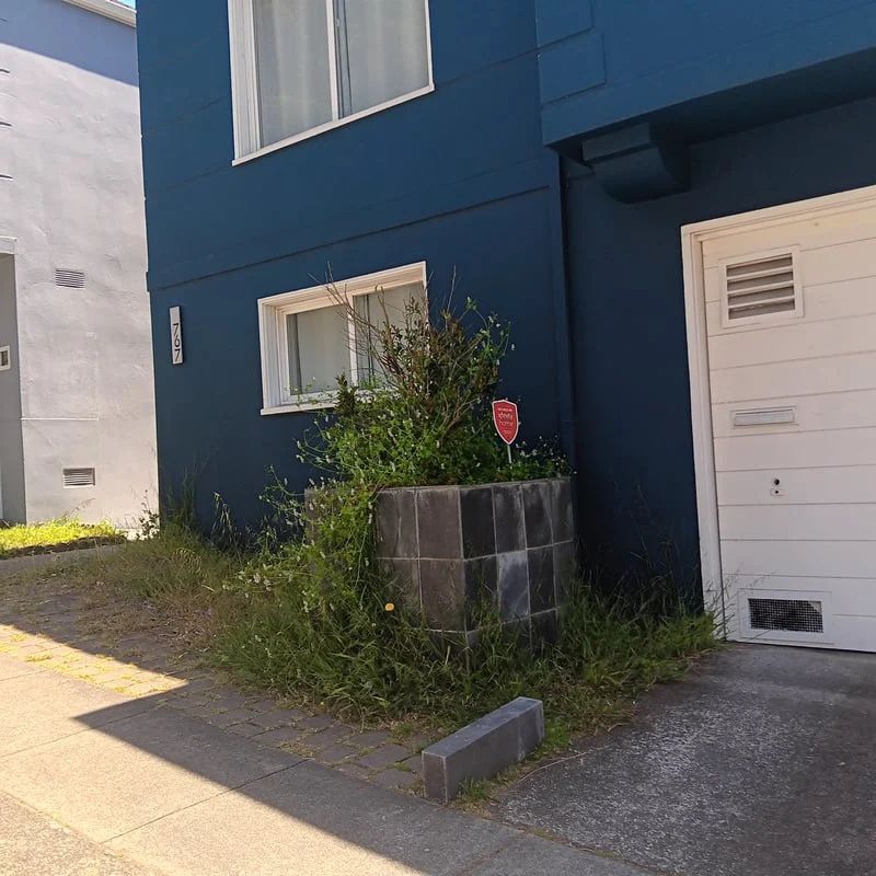 Blue house exterior with white door, small overgrown planting bed, and a concrete parking stop in front.