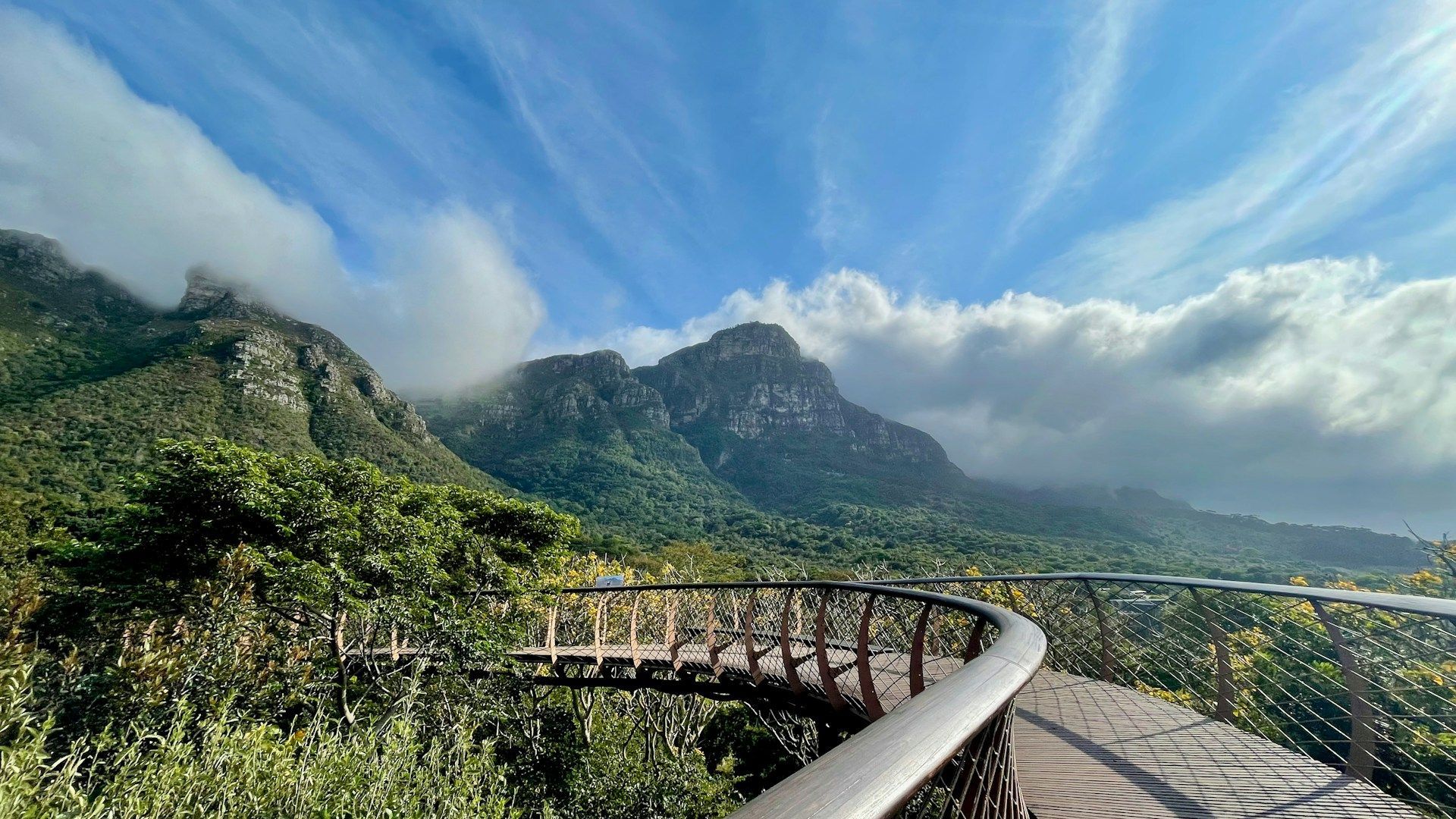 View over Table Mountain from the Canopy Walkway