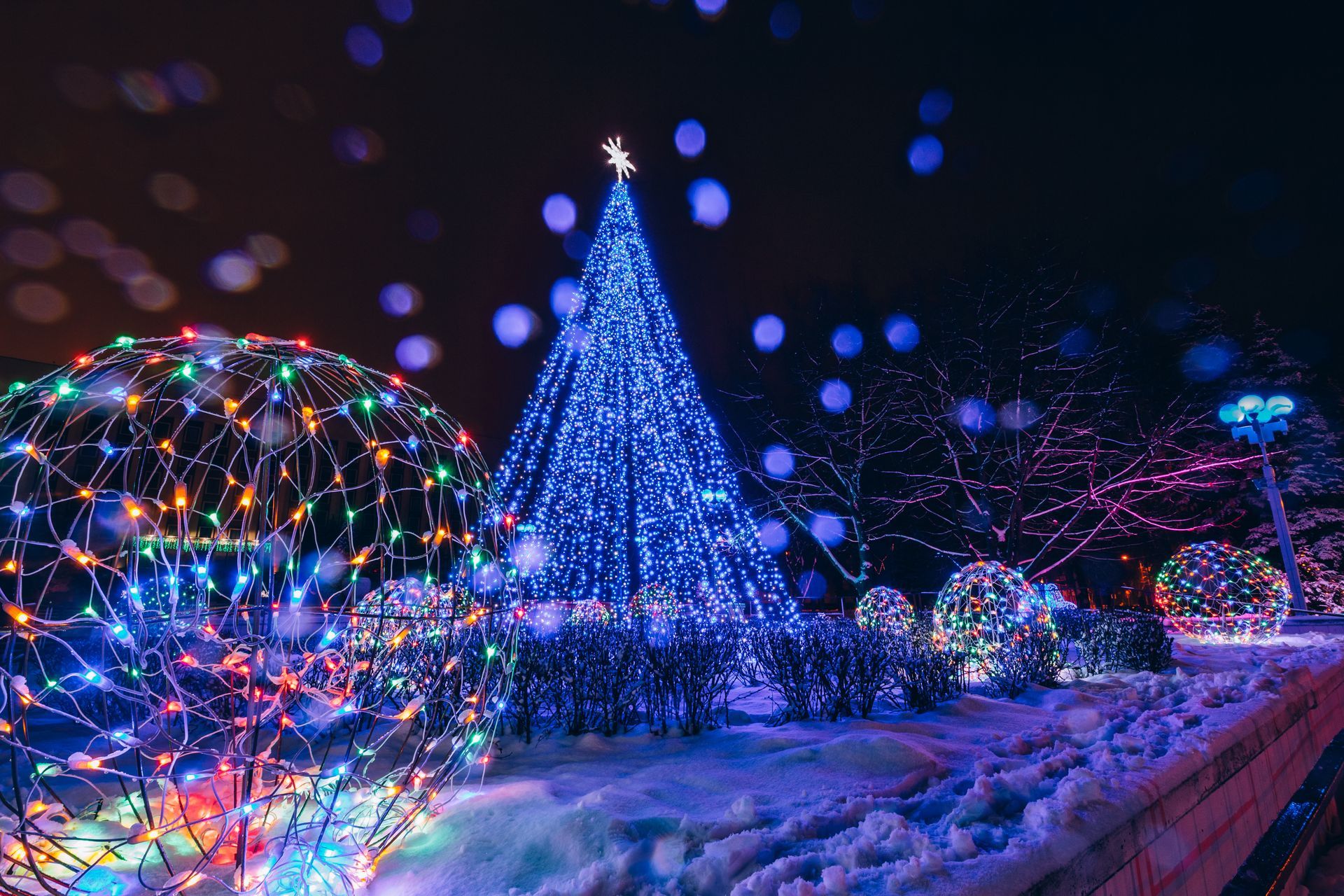 A christmas tree is lit up with blue lights in the snow.