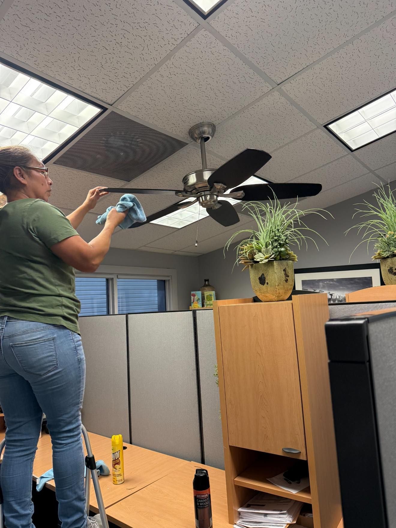 A woman is cleaning a ceiling fan in an office.