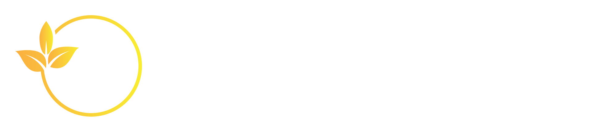 Ideario Partners - Gestión & I+D+i