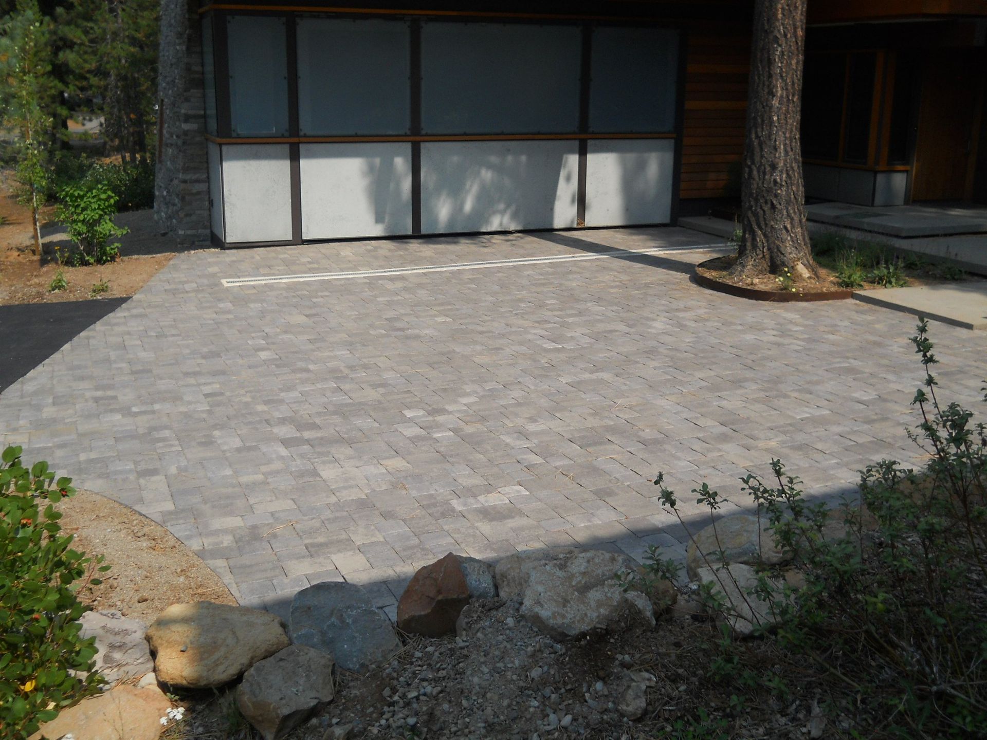 A driveway in front of a house with a garage door