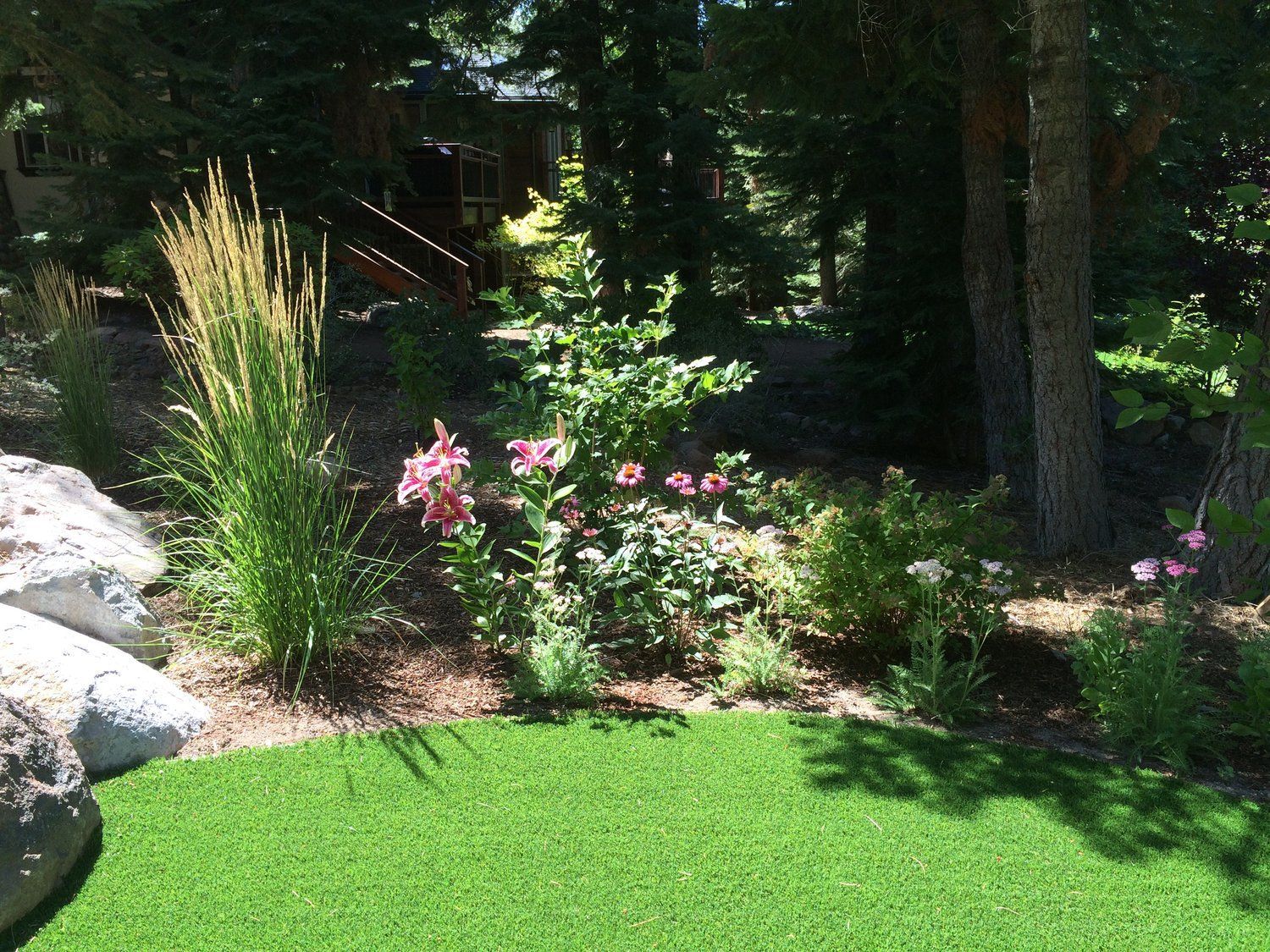 A lush green lawn surrounded by trees and flowers