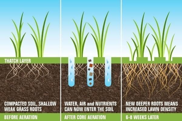 Aeration Graphic