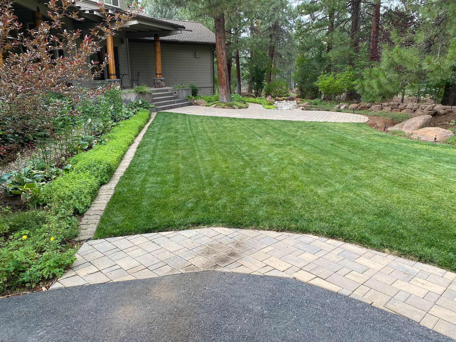 A lush green lawn with a brick walkway in front of a house.