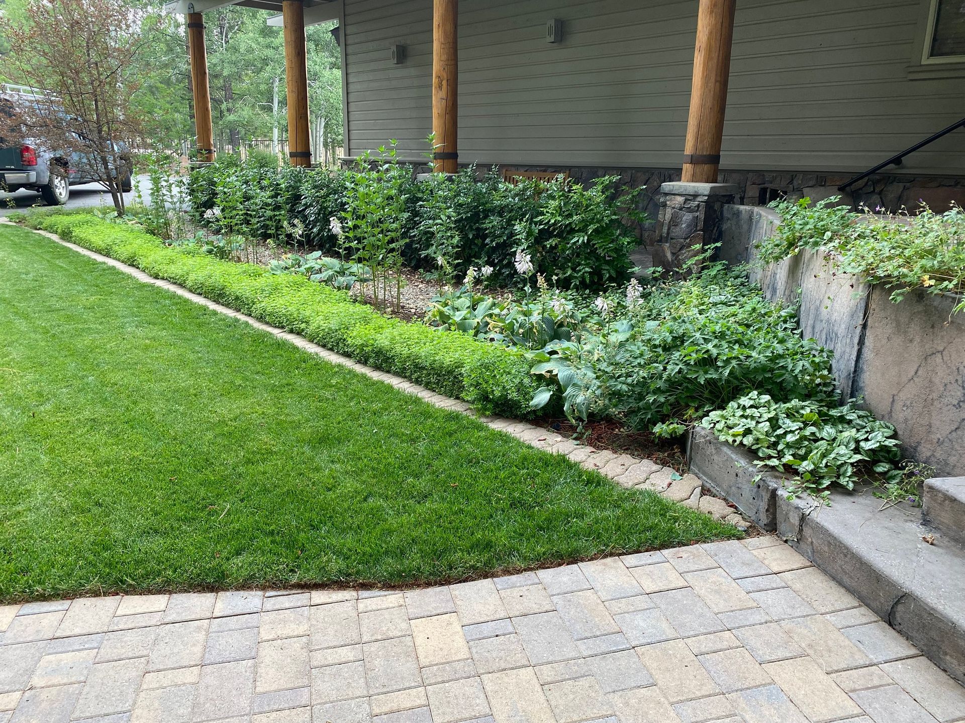 A lush green lawn with a brick walkway in front of a house.