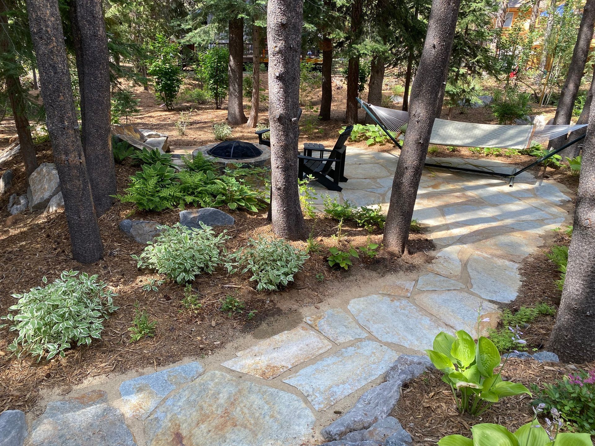 A stone walkway in the middle of a forest