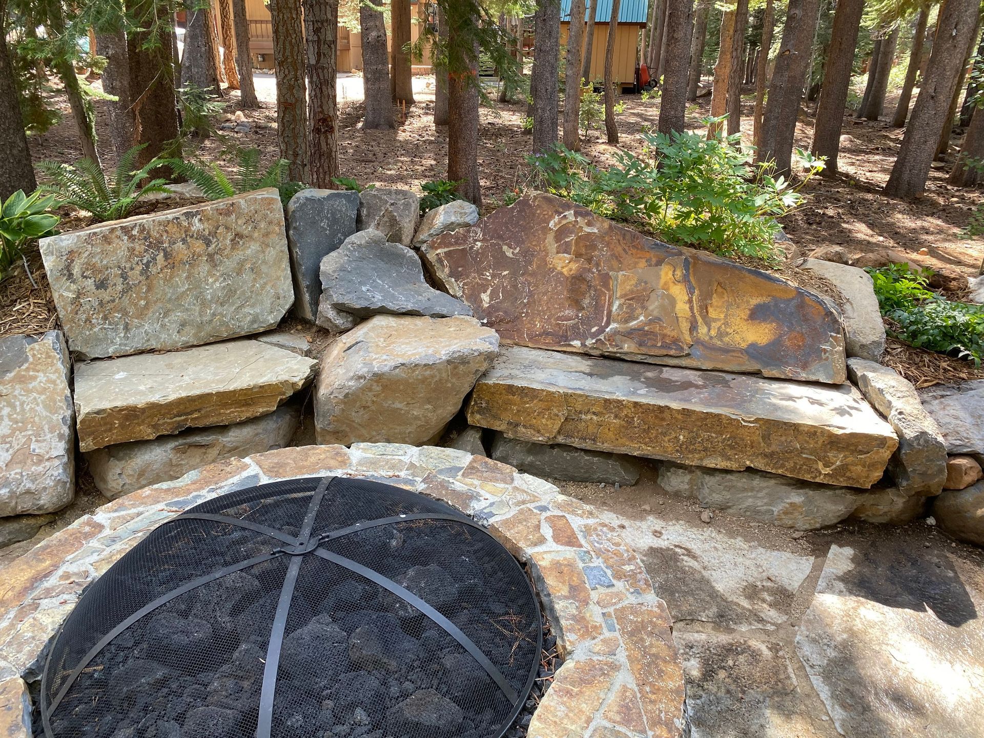 A fire pit surrounded by rocks in the middle of a forest.