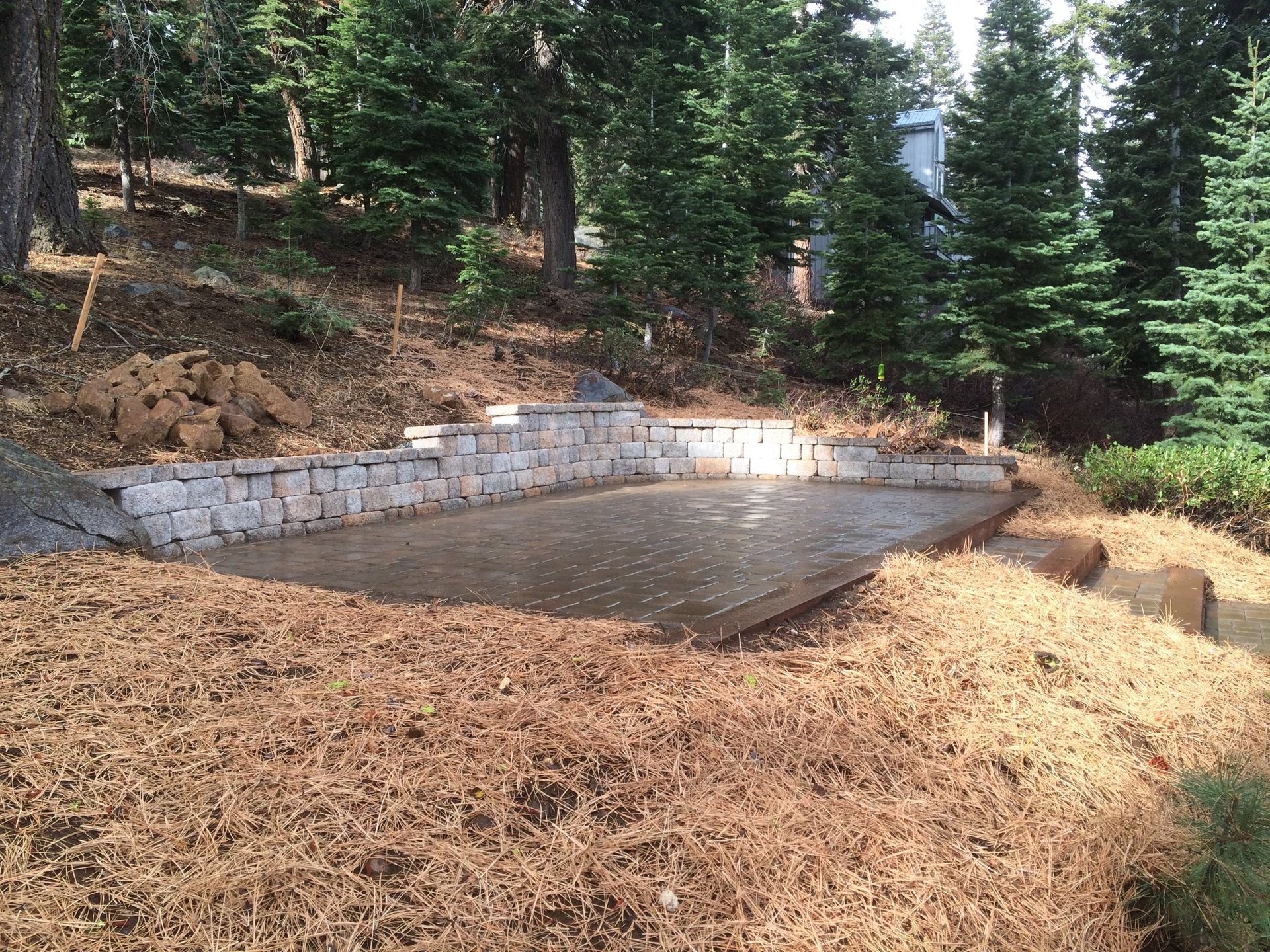 A stone wall is being built in the middle of a forest