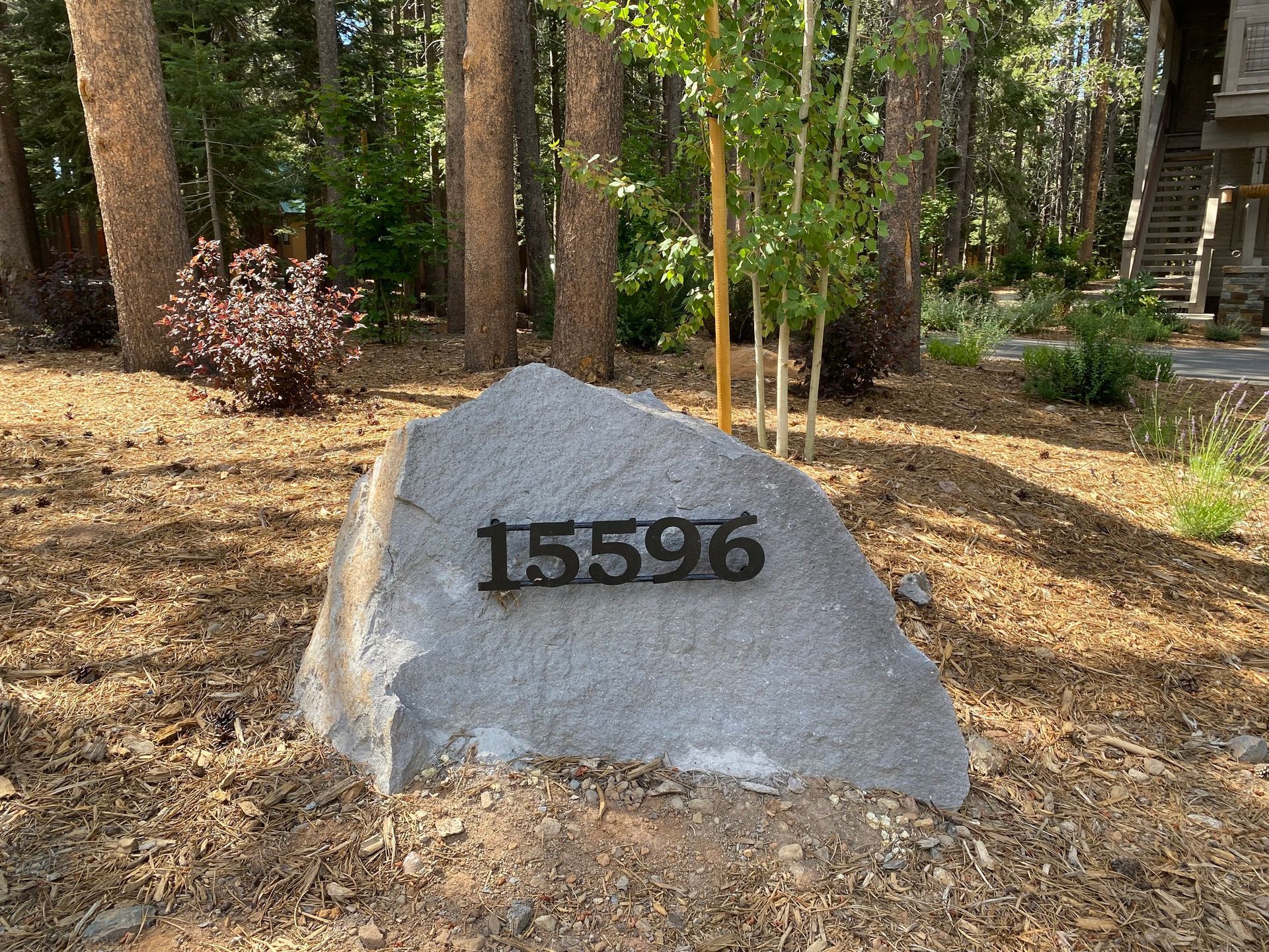 A large rock in the middle of a forest with the address written on it.