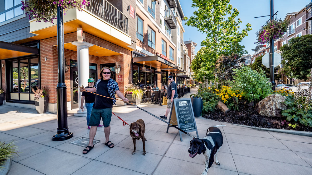A man is walking two dogs on a leash in front of a building.