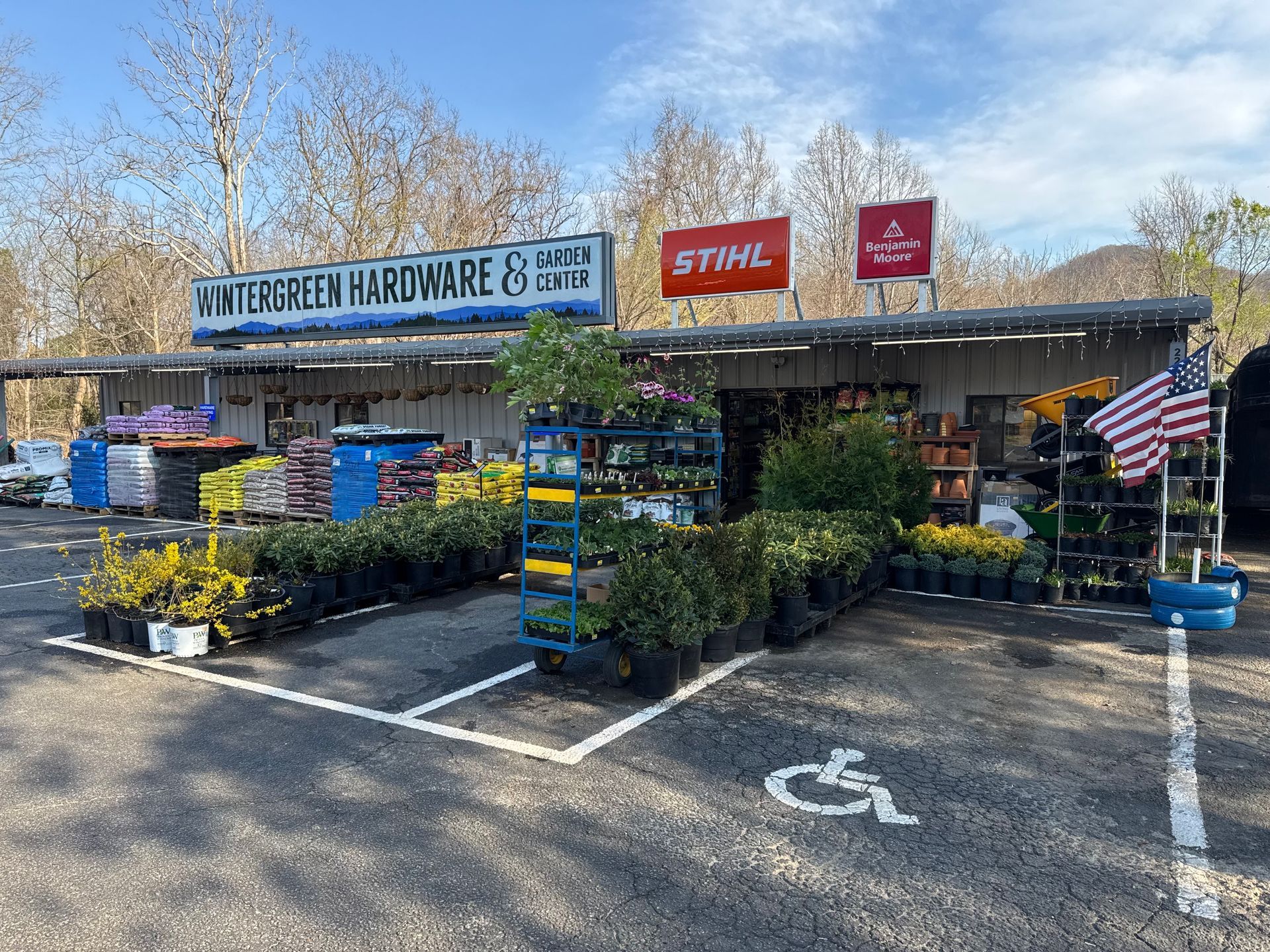 Hardware store with plants for sale; American flag; parked cars.