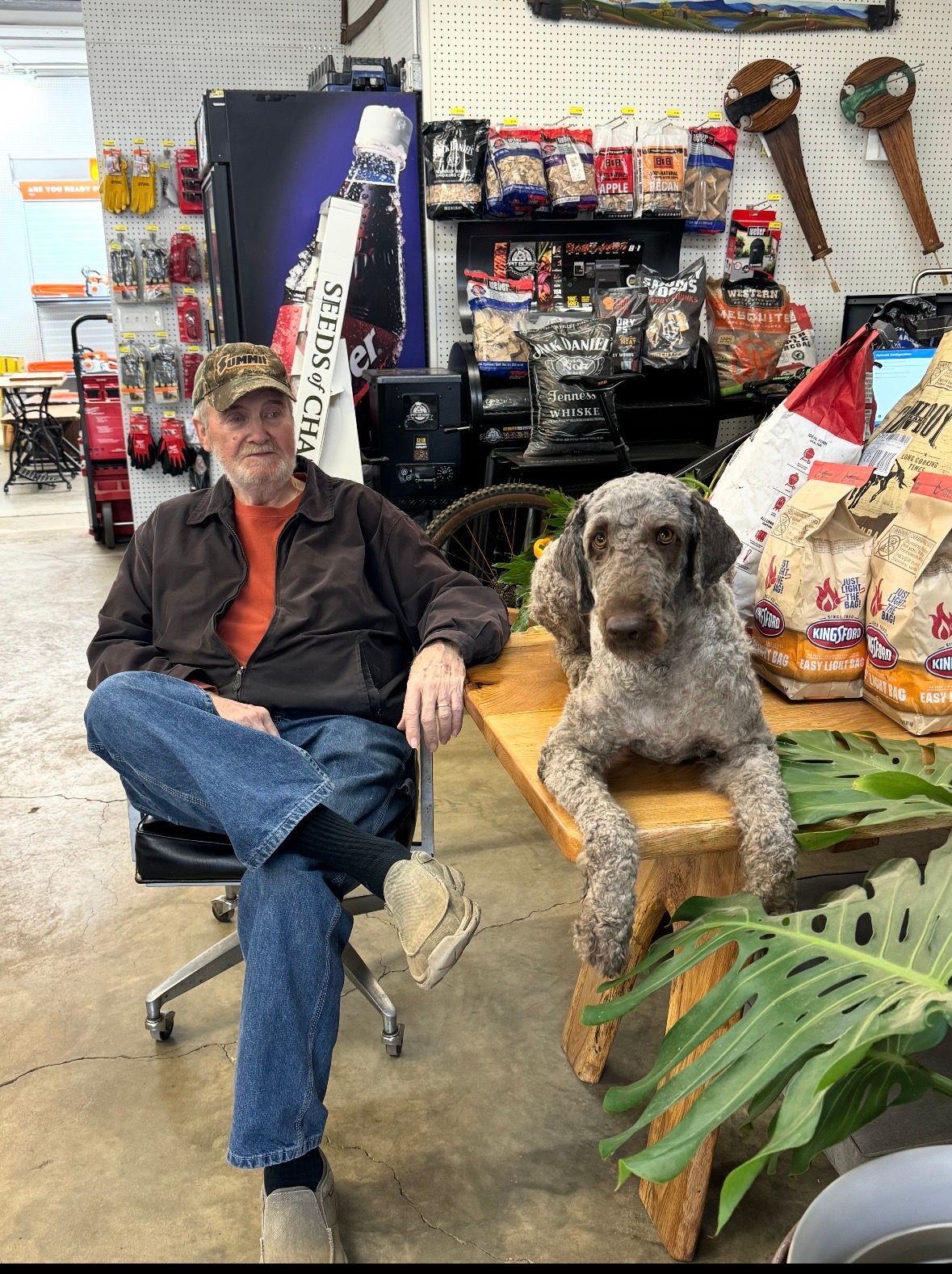 Sprinklers watering rows of lush green lettuce in a garden, with a truck and a person visible in the background.