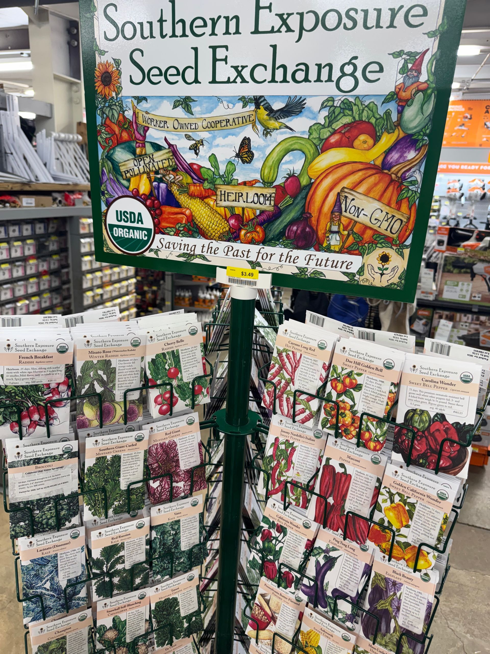 Seedlings in trays on a concrete bench. Various green plants are ready for planting.